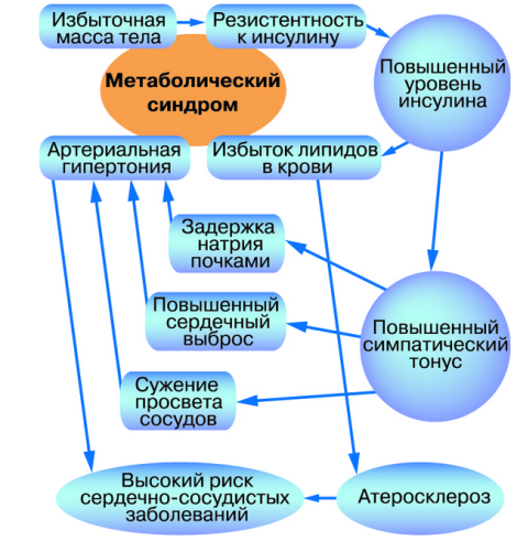 что такое метаболический синдром