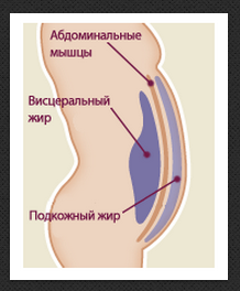 Как убрать внутренний жир в животе